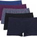 Ruxia Women’s Boyshort Panties Nylon Seamless Underwear Comfy Hipster Panties 5 Pack